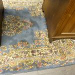 874 8602 ORIENTAL RUG